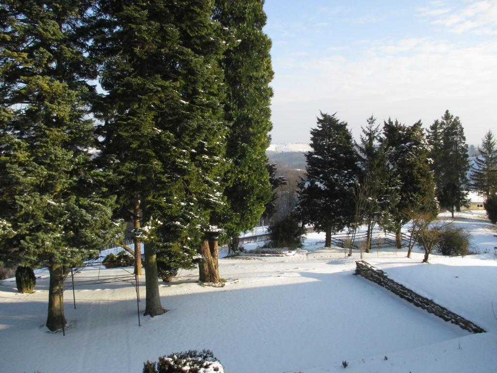 Dvorec Jeruzalem Ivanjkovci Extérieur photo